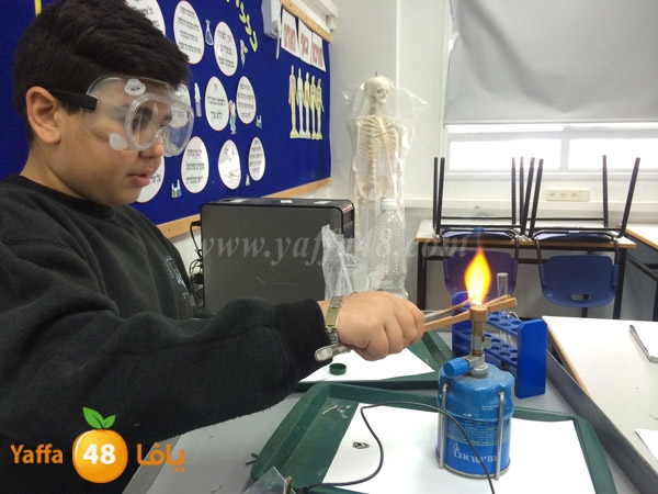 shamela 3omlom (2).jpg